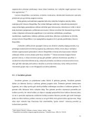 Lietuvos grėsmės ir saugumas 12 puslapis