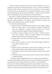 Lietuvos grėsmės ir saugumas 14 puslapis