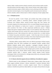 Lietuvos grėsmės ir saugumas 15 puslapis