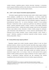 Lietuvos grėsmės ir saugumas 18 puslapis