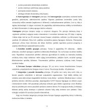 Lietuvos integracijos į Europos Sąjungą (ES): problemų, naudos ir pasekmių įvertinimas 6 puslapis