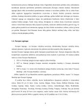Lietuvos integracijos į Europos Sąjungą (ES): problemų, naudos ir pasekmių įvertinimas 8 puslapis