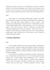 Kultura i przyroda jako czynniki określające atrakcyjność turystyczną państw Bałtyckich 9 puslapis