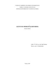 Lietuvos mokesčių reforma 1 puslapis