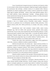 Lietuvos mokesčių reforma 11 puslapis