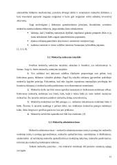 Lietuvos mokesčių reforma 12 puslapis