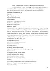 Lietuvos mokesčių reforma 13 puslapis