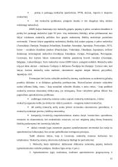 Lietuvos mokesčių reforma 15 puslapis