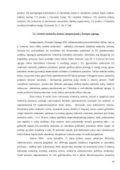 Lietuvos mokesčių reforma 19 puslapis