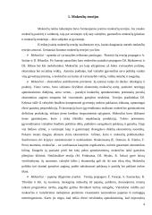 Lietuvos mokesčių reforma 4 puslapis