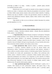 Lietuvos mokesčių reforma 6 puslapis