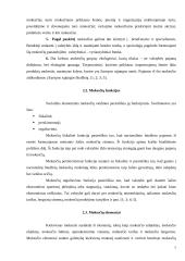 Lietuvos mokesčių reforma 7 puslapis
