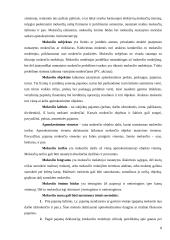 Lietuvos mokesčių reforma 8 puslapis
