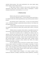 Lietuvos mokesčių reforma 9 puslapis