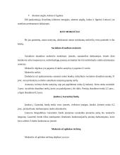 Lietuvos mokesčių sistema ir pagrindiniai mokesčiai 9 puslapis