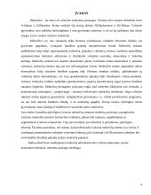 Lietuvos mokesčių sistemos struktūra ir principai 1 puslapis