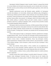 Lietuvos mokesčių sistemos struktūra ir principai 11 puslapis