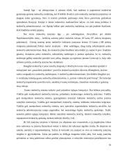 Lietuvos mokesčių sistemos struktūra ir principai 13 puslapis