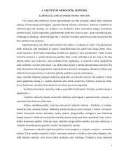 Lietuvos mokesčių sistemos struktūra ir principai 4 puslapis