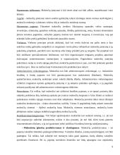 Lietuvos mokesčių sistemos struktūra ir principai 6 puslapis