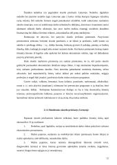Lietuvos skurdo priežastys ir pasekmės 12 puslapis