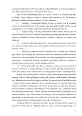 Lietuvos skurdo priežastys ir pasekmės 15 puslapis