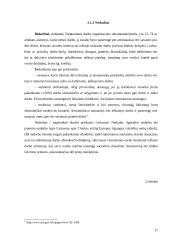 Lietuvos skurdo priežastys ir pasekmės 17 puslapis