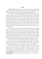 Lietuvos skurdo priežastys ir pasekmės 3 puslapis
