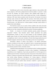 Lietuvos skurdo priežastys ir pasekmės 6 puslapis