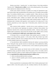 Dabartinė Lietuvos mokesčių sistema 14 puslapis