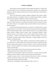Dabartinė Lietuvos mokesčių sistema 20 puslapis
