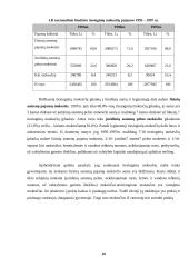 Dabartinė Lietuvos mokesčių sistema 10 puslapis