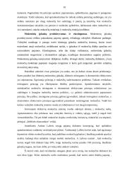 Lietuvos mokesčių sistema bei mokesčių našta Lietuvos gyventojams bei įmonėms 10 puslapis