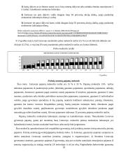 Lietuvos mokesčių sistemos raida ir Lietuvos mokesčių lygis Europos sąjungos kontekste 18 puslapis