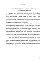 Mokyklos ir šeimos bendradarbiavimo ypatumai ugdant sveiką mokinių gyvenseną 2 puslapis