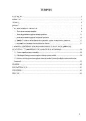 Mokyklos ir šeimos bendradarbiavimo ypatumai ugdant sveiką mokinių gyvenseną 4 puslapis