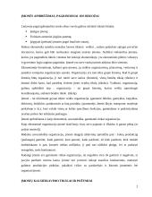 Lietuvos Respublikos (LR) įmonės ir jų santykis 2 puslapis