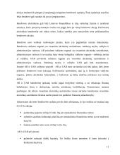 Lietuvos Respublikos (LR) įmonės ir jų santykis 11 puslapis