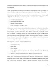 Lietuvos Respublikos (LR) įmonės ir jų santykis 15 puslapis