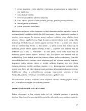 Lietuvos Respublikos (LR) įmonės ir jų santykis 17 puslapis