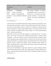 Lietuvos Respublikos (LR) įmonės ir jų santykis 4 puslapis