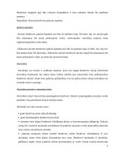 Lietuvos Respublikos (LR) įmonės ir jų santykis 9 puslapis