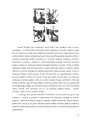 Moters figūros vaizdavimas šiuolaikinėje dailėje: "Troškimai" 14 puslapis