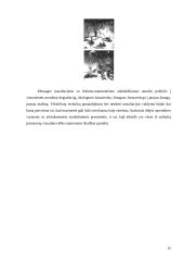 Moters figūros vaizdavimas šiuolaikinėje dailėje: "Troškimai" 15 puslapis