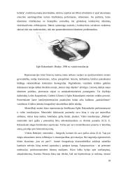 Moters figūros vaizdavimas šiuolaikinėje dailėje: "Troškimai" 18 puslapis