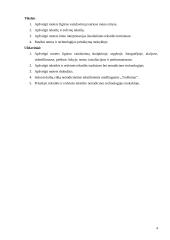 Moters figūros vaizdavimas šiuolaikinėje dailėje: "Troškimai" 4 puslapis