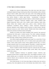 Moters figūros vaizdavimas šiuolaikinėje dailėje: "Troškimai" 7 puslapis