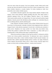 Moters figūros vaizdavimas šiuolaikinėje dailėje: "Troškimai" 8 puslapis