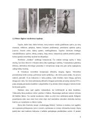 Moters figūros vaizdavimas šiuolaikinėje dailėje: "Troškimai" 9 puslapis