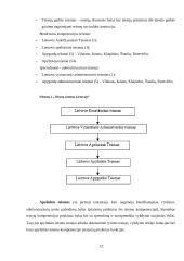 Lietuvos Respublikos (LR) ir Didžiosios Britanijos (DB) teisinės aplinkos apžvalga 12 puslapis
